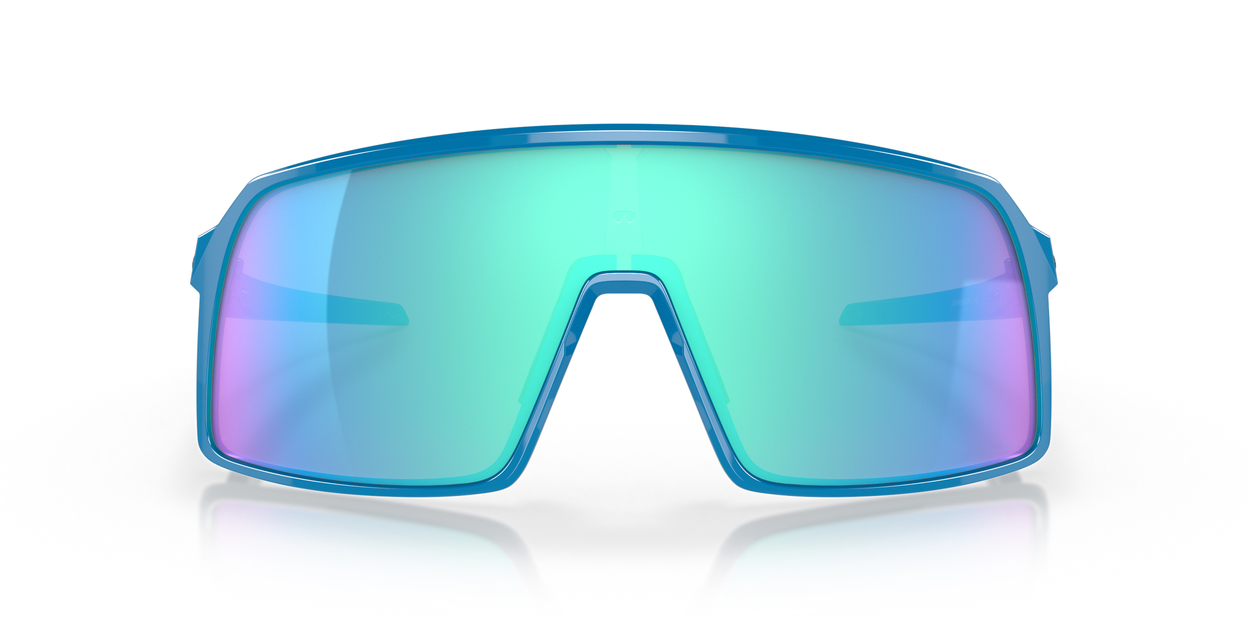 Holiday Travel Polarized Glasses